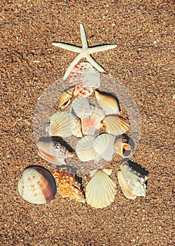 Christmas tree made of shells in the sand. Selective focus