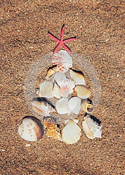 Christmas tree made of shells in the sand. Selective focus