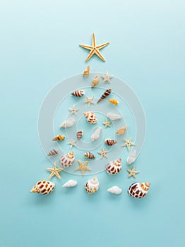 A Christmas tree made of shells and starfish is laid out on a blue background