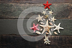 Christmas tree made from starfishes