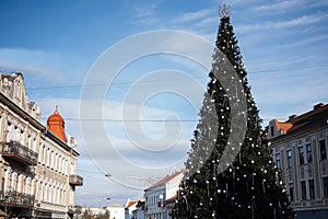 Christmas tree in main square of city Uzhgorod, Ukraine