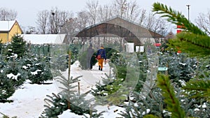 Christmas tree Market.Family carries Christmas tree. Slow motion.Choosing And Buying A Christmas Tree