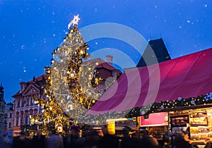 Christmas tree and market in Prague - Czech Republic