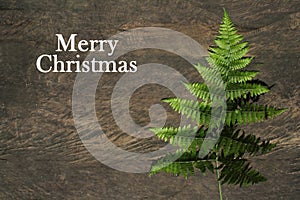 Christmas tree with Merry Christmas text on natural Christmas tree from green fern leaf on rustic wooden background.