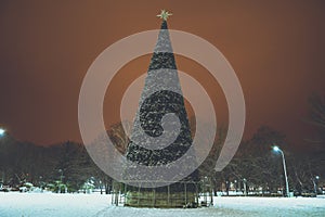 Christmas tree in the middle of the park