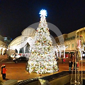 Christmas tree in the middle of the town center