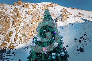 Christmas tree in mountain snow forest. Christmas tree decorated with large balls on the background of the mountains