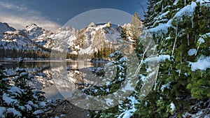 Christmas tree in the mountains with ice cycles photo