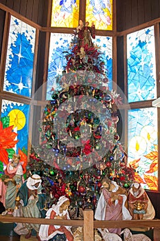 Christmas tree and Nativity scene