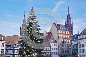 Christmas Tree near the Cathedral in Strasbourg, France