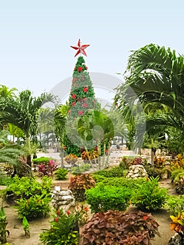 The christmas tree near shopping area at the sea port at Cozumel, Mexico