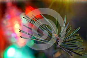 Christmas tree needles on a background of green, red and yellow LED lights. Night magic. Macro. Bokeh, volume and shallow depth of