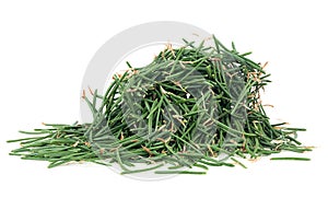 Christmas tree needles - Dried fir needles after christmas isolated over white background