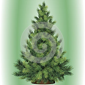 Christmas tree for New Year