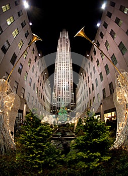 Christmas tree , New York