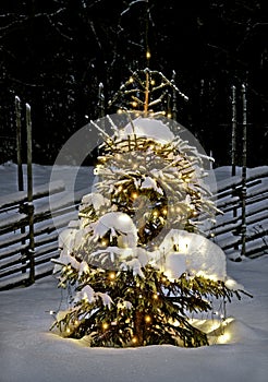 Albero di natale di notte 