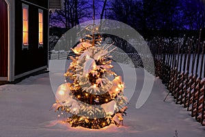 Árbol de navidad por la noche 