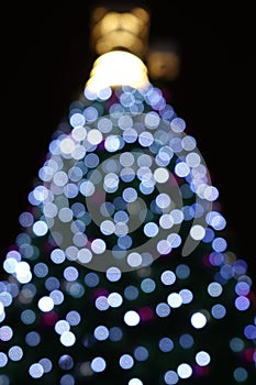 Christmas tree at night