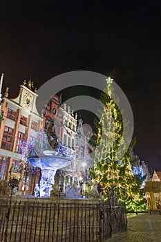 Christmas tree in the old town in Gdansk by night. photo