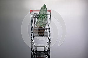 Christmas Tree Ornament in Cute Shopping Cart