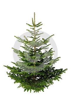 Vianočný stromček bez ozdoby 