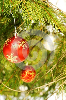 Christmas tree ornaments