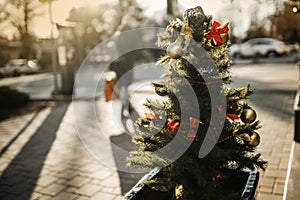 Christmas tree outside in the afternoon. City decoration on Christmas eve