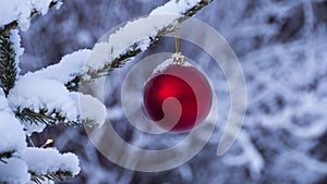 christmas tree outside cowered by snow