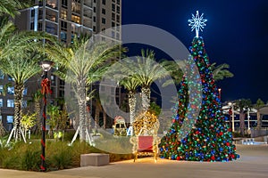 Christmas Tree and palm trees. Clearwater Beach Florida. Fake, plastic or artificial classic blue spruce for Christmas