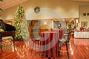 Christmas tree and party area