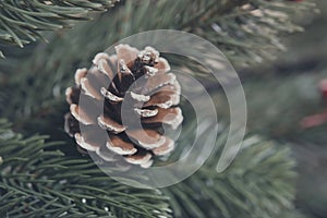 Christmas tree with pine cone decoration embellish photo