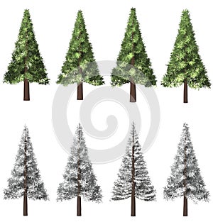 Christmas tree, Pine. Winter forrest tree background. 3D Illustration