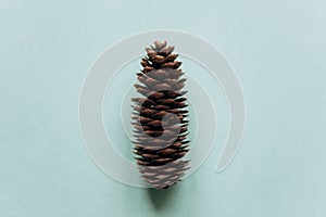 Christmas-tree pinecone. Minimalism.