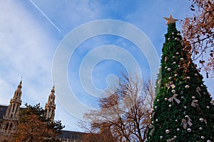 Christmas Tree at Rathausplatz in Vienne photo