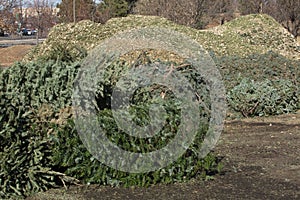 Christmas Tree Recycling