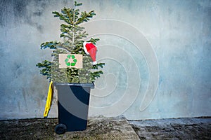 Christmas tree with recycling sign and Santa hat