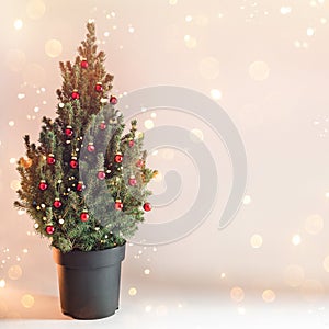 Christmas tree with red Christmas decorations on holiday background with snow, blurred, sparking