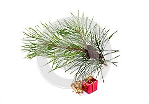 Christmas tree and red gift