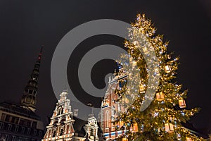 Christmas Tree at Riga, Latvia