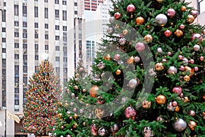 Christmas Tree in Rockefeller Center, New York, USA