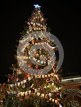 Christmas tree in Saint Petersburg, Russia