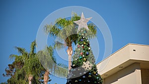 Christmas tree in Santa Barbara, California, against the background of palm trees on sunny day.