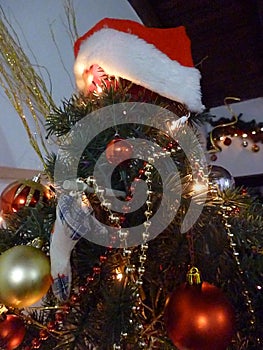 Christmas tree with SantaÃÂ´s hat