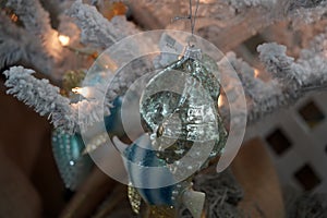 Christmas tree shell and marine life for sale in a shop