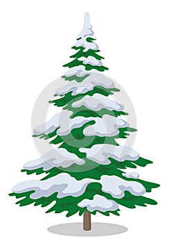 Christmas tree with snow