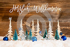 Christmas Tree, Snow, Blue Star, Willkommen Means Welcome, Wooden Background