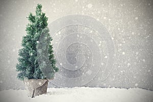 Christmas Tree, Snow, Gray Background, Copy Space, Snowflakes