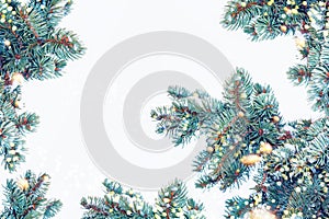 Christmas tree in the snow isolated on a white background. greeting card