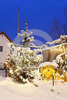 Christmas Tree With Snow At Night, Germany