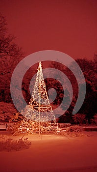 Christmas tree in the snow